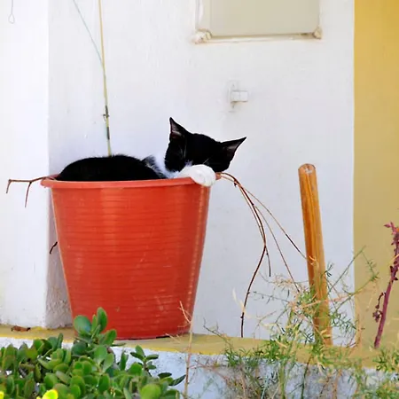 Contemporary 2 Bedrooms Oceanic Escape Private Pool Caminha