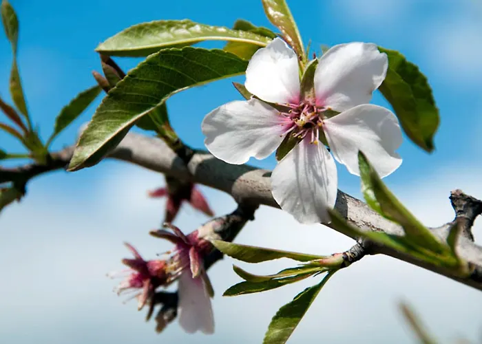 Contemporary 2 Bedrooms Oceanic Escape Private Pool 别墅 *