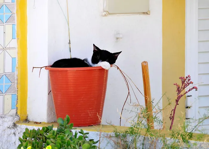 Contemporary 2 Bedrooms Oceanic Escape Private Pool 카민하